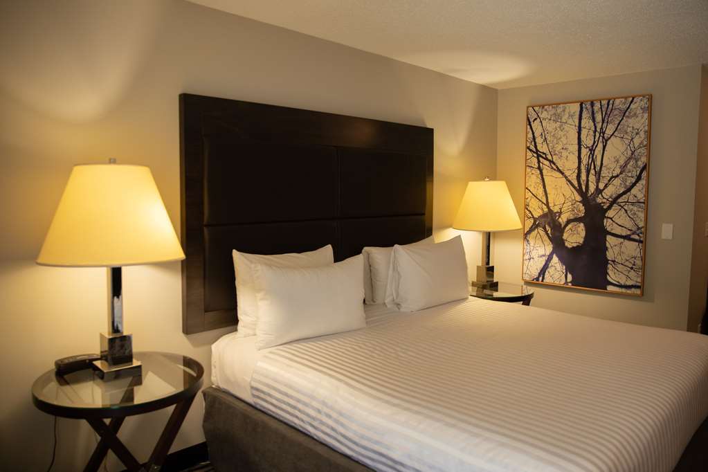 Surestay Hotel By Best Western Castlegar Bilik gambar